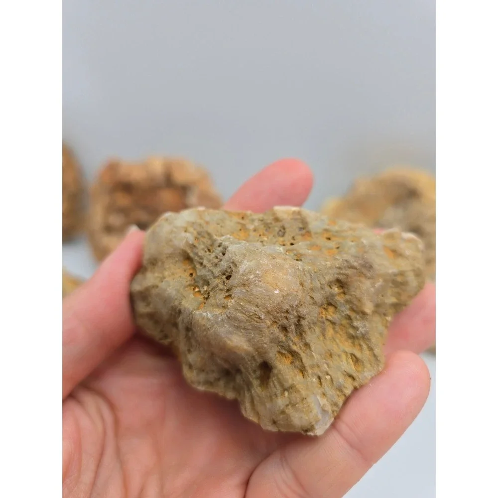 Natural Quartz‎ Geode Crystal Lot 6pc Tan White Good Raw Mineral Specimen